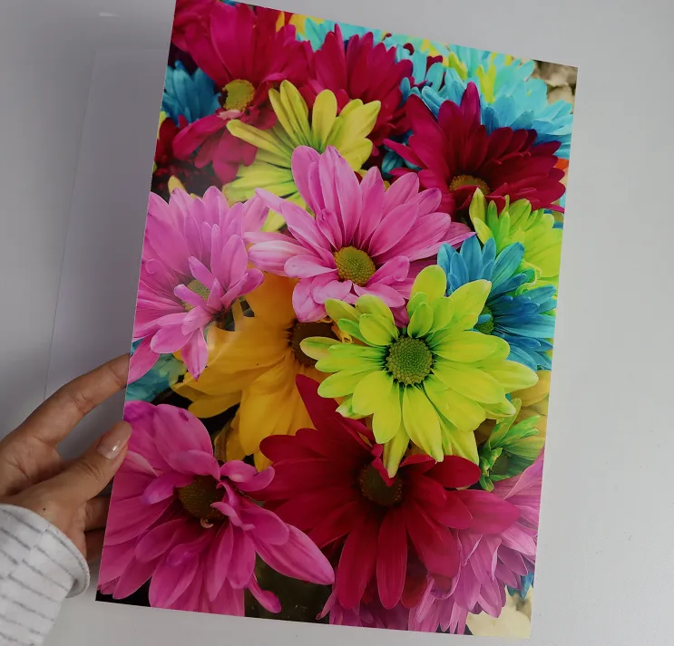 Print result on ZST Media film