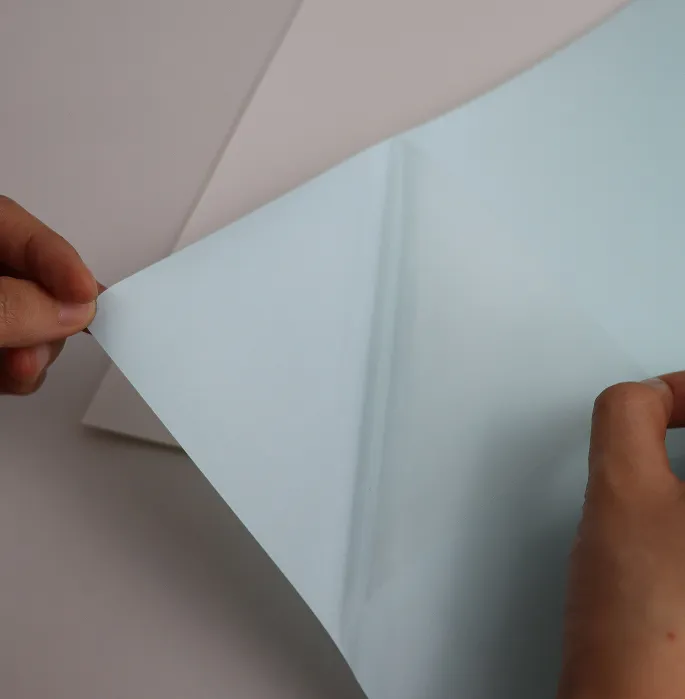 Print result on ZST Transfer film